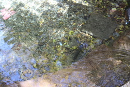 IMG 0892