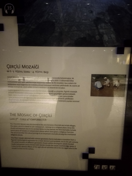 IMG_20191028_101747.jpg