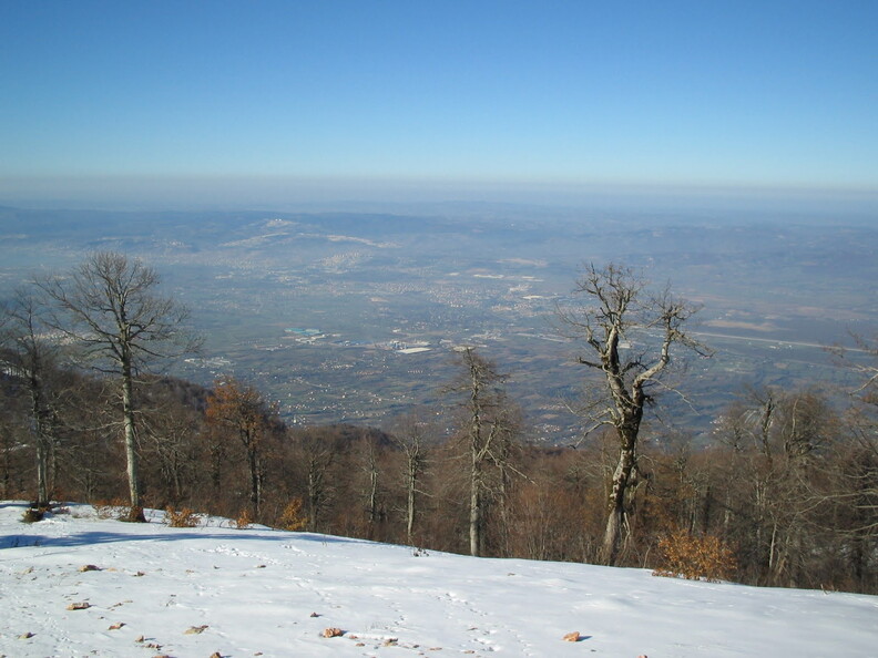 IMG_0148.jpg