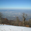 IMG 0148
