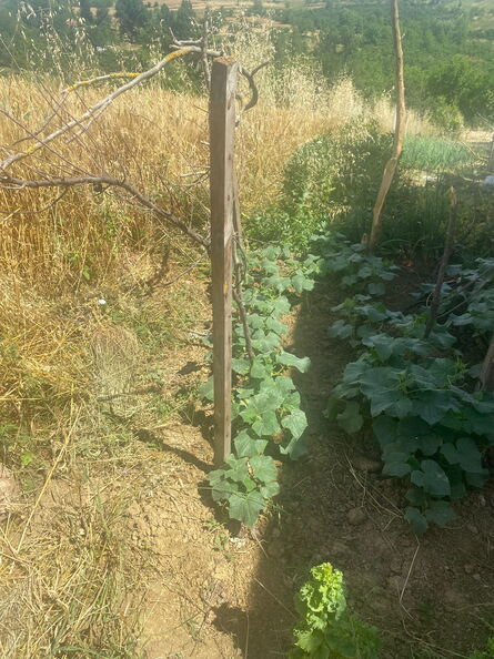 06.16.2026 54.jpeg