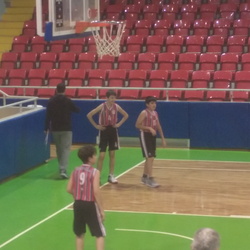 Tosunum Mert